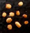  Caryopsis